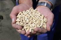 H&auml;nde_mit_Pellets_klein