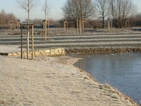 Wietzepark - Ufer