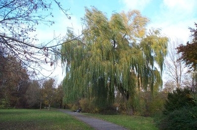 Brinkerpark