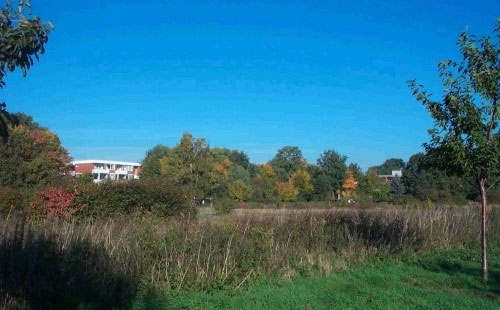 Blick &uuml;ber den Stadtpark