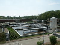 Bio-P-Becken